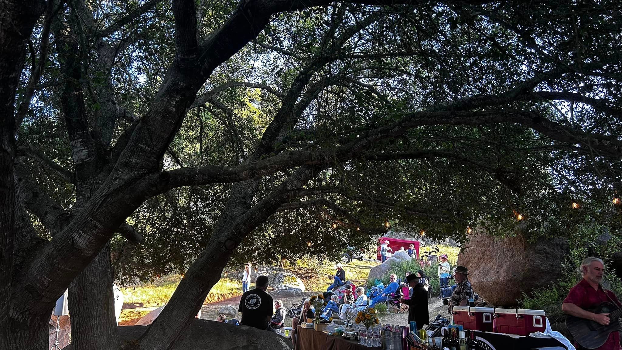 View from beneath the oak tree at Music on the Hill
